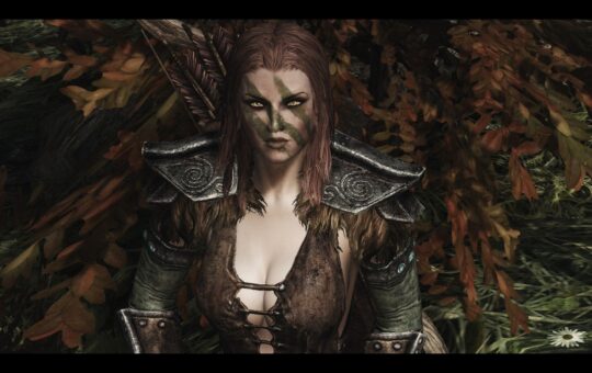 How to Marry Aela in Skyrim