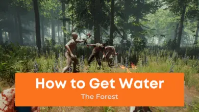 How to Get Water in The Forest