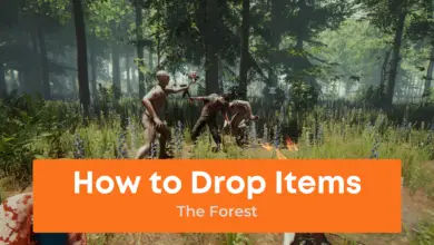 How to Drop Items in The Forest