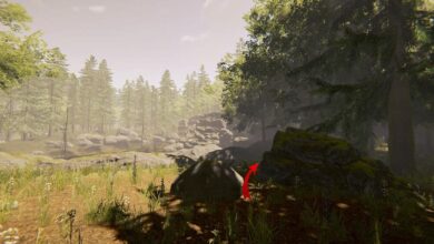 The Forest Cave Locations (Complete Map Guide)- NeuralGamer