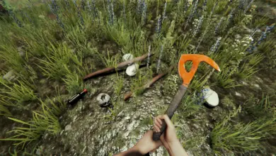How to Drop Items in The Forest