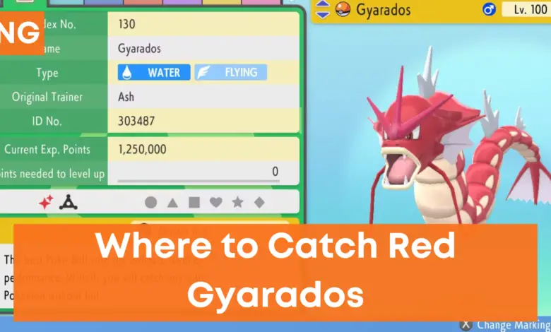 Where to Catch Shiny Gyarados in Pokemon Brilliant Diamond and Shining Pearl