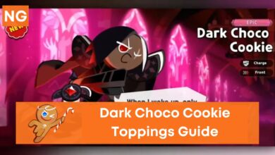 Dark Choco Toppings