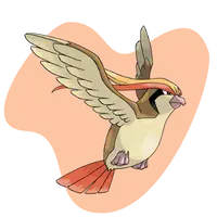 Pidgeot